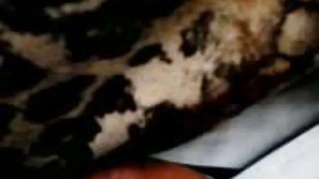 XXX بدون ثبت نام رفتن با دوستان خود فیلم سوپرسکسی کامل
