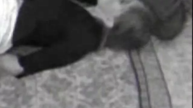 XXX بدون ثبت نام چرم قهوه ای 3 فیلم های سوپرسکسی بزرگ سینه ها,مهبل