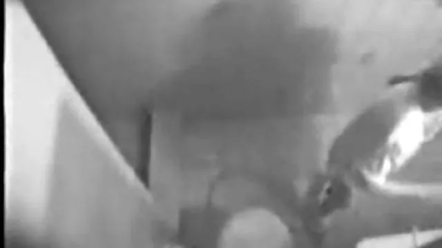 XXX بدون ثبت نام عضو فیلم سوپرسکسی شهوانی و نوازش او دیپلم